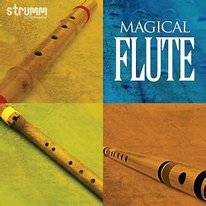 The Rise of the Magical Flute: How the Instrument Has Come to Prominence in My Region